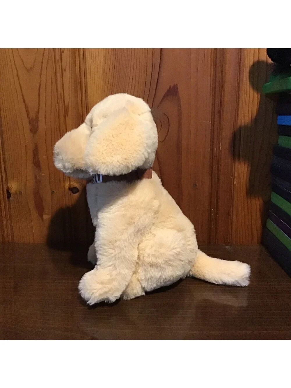 Chelsea Teddy Bear Plush Dog Subaru Collar Beige 9